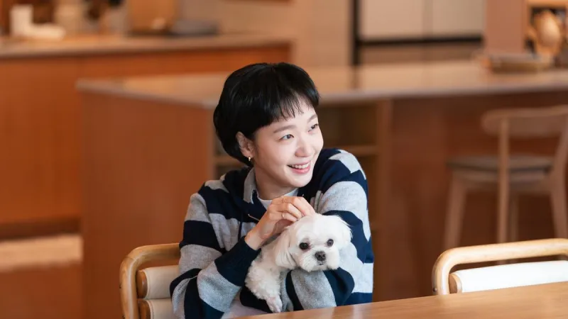 Nonton Serial Korea Terbaru di Vidio, Ada Bad And Crazy dan Yumi’s Cell 3