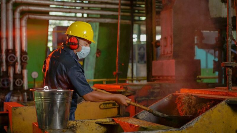 Pabrik di Surabaya Pangkas 40% Biaya Logistik Minyak Goreng ke Indonesia Timur
