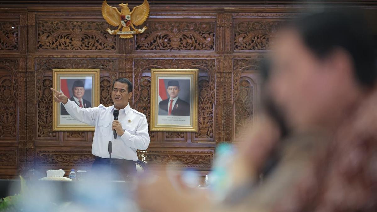 Harga Telur Stabil Setelah Kebijakan Baru, Peternak Senang
