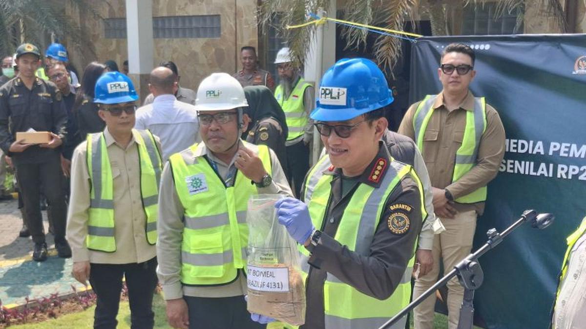 Badan Karantina Batalkan 312 Ton Pakan Ternak Babi
