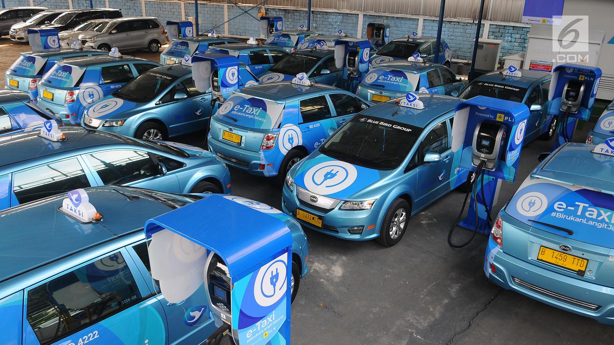 Bluebird Buka Lowongan Kerja di Lini Operasional dan Manajemen, Minat?