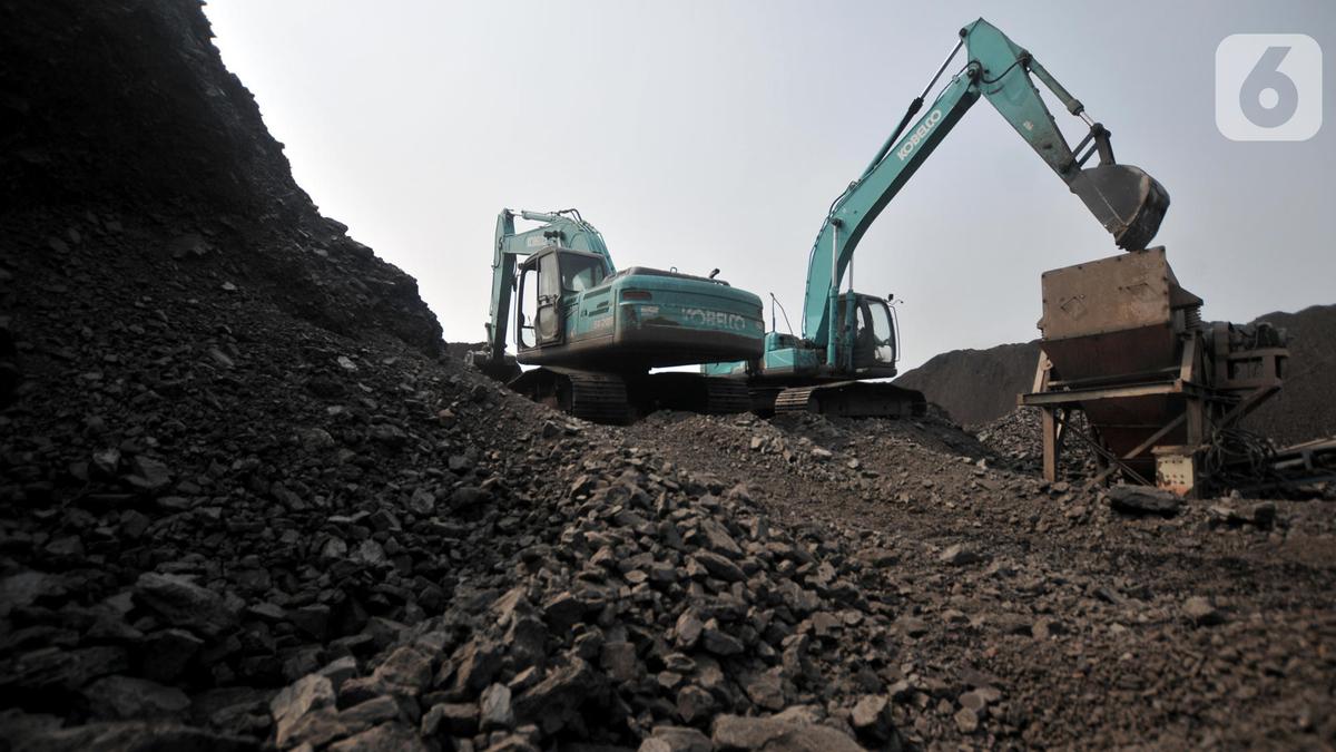 Pemerintah Pilih Dekarbonisasi Fosil Gantikan Batu Bara: Strategi Realistis untuk Keamanan Energi Nasional