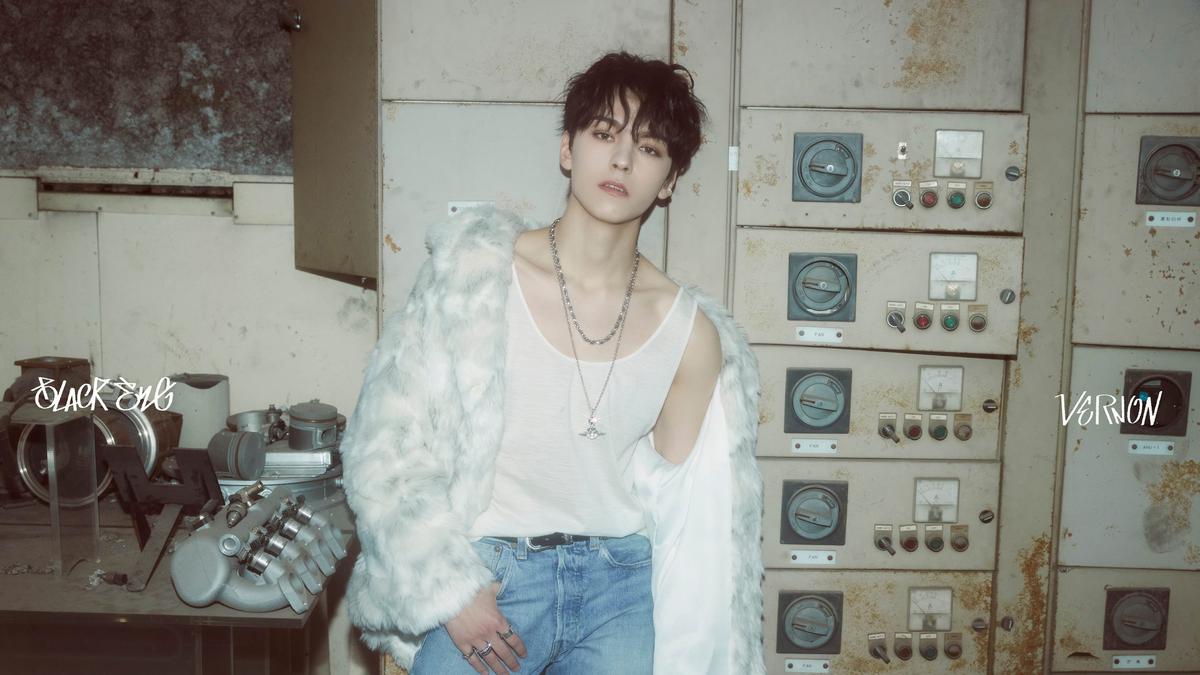 DK & Vernon Siap Wamil Seventeen, Pledis Umumkan Jadwal