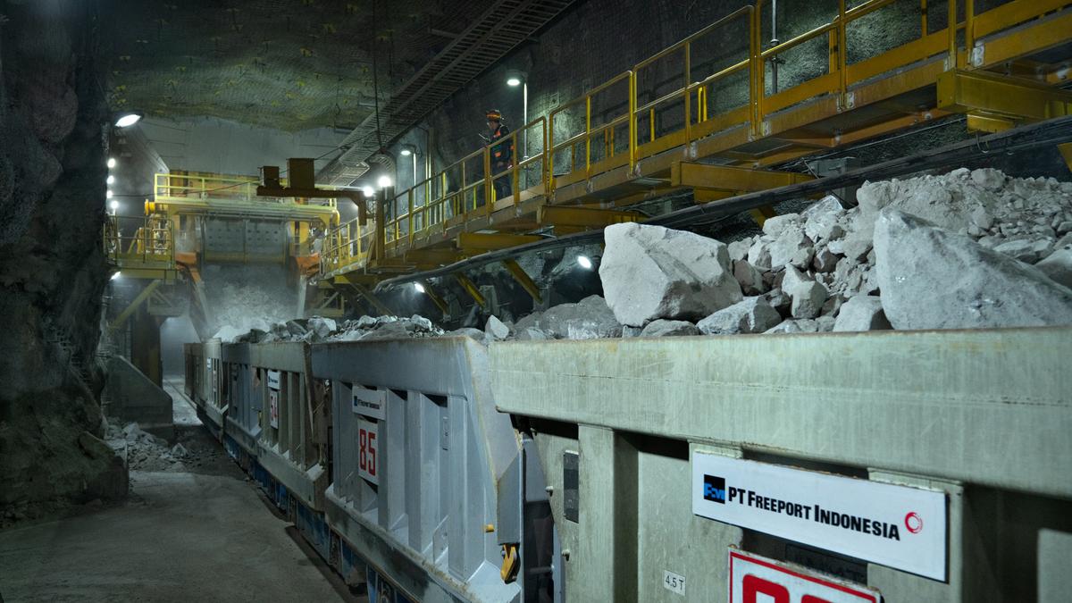 Freeport Indonesia Rancang Operasi Tambang Kucing Liar Hingga 2041 untuk Pertumbuhan Global Logam