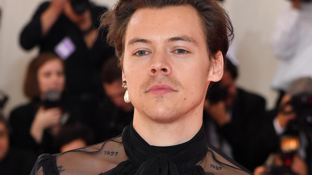 Harry Styles & Zoe Kravitz Makin Serius Dalam Pernikahan, Tur Album & Piknik Musim Panas Menjadi Bukti Kebahagiaan