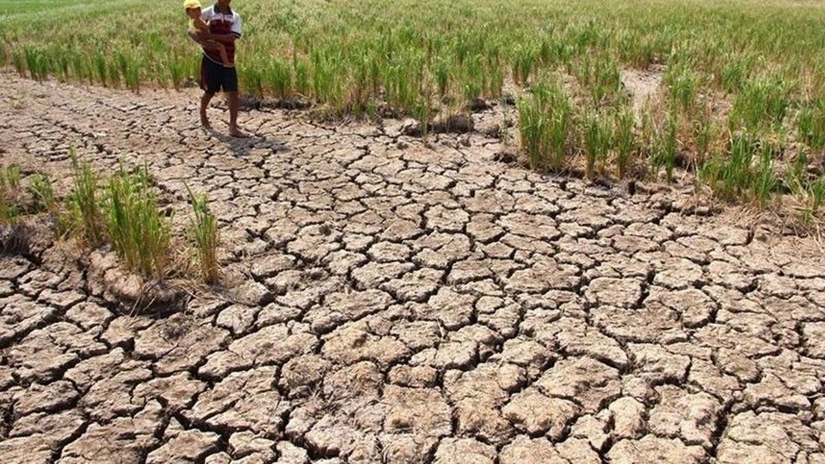 Super El Niño Memaksa Indonesia Rentan Inflasi Global