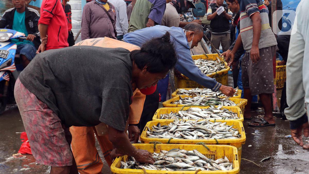 Swasembada: Indonesia Jadi Eksportir Ikan Terbesar Dunia