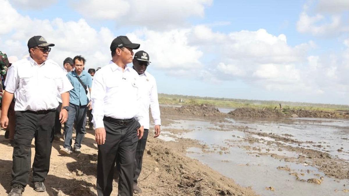 Sawah Baru Papua Milik Rakyat: Kebutuhan Pangan Nasional Terpenuhi