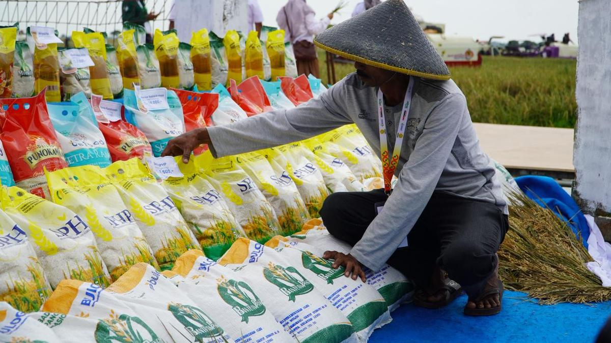 Harga Beras Stabil, Pasar Rakyat Jadi Distribusi SPHP